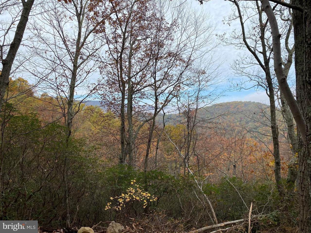 Peak Lane - Photo 1