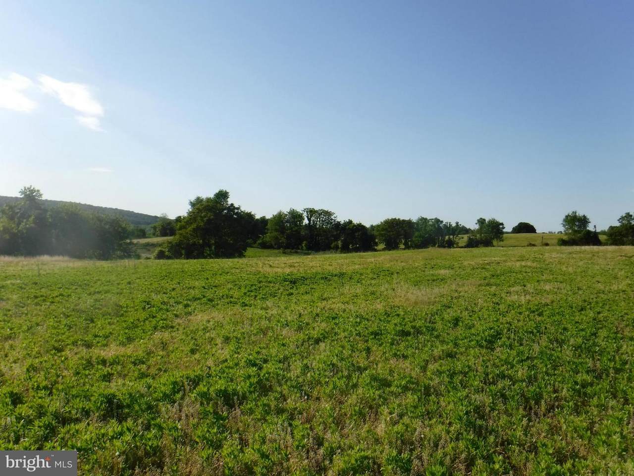 20504 Gathland Trail - Photo 1