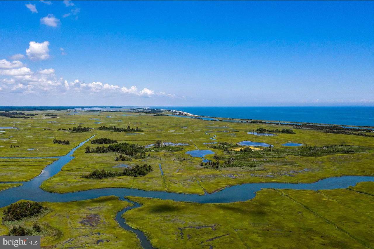 32680 Halyard Road - Photo 1