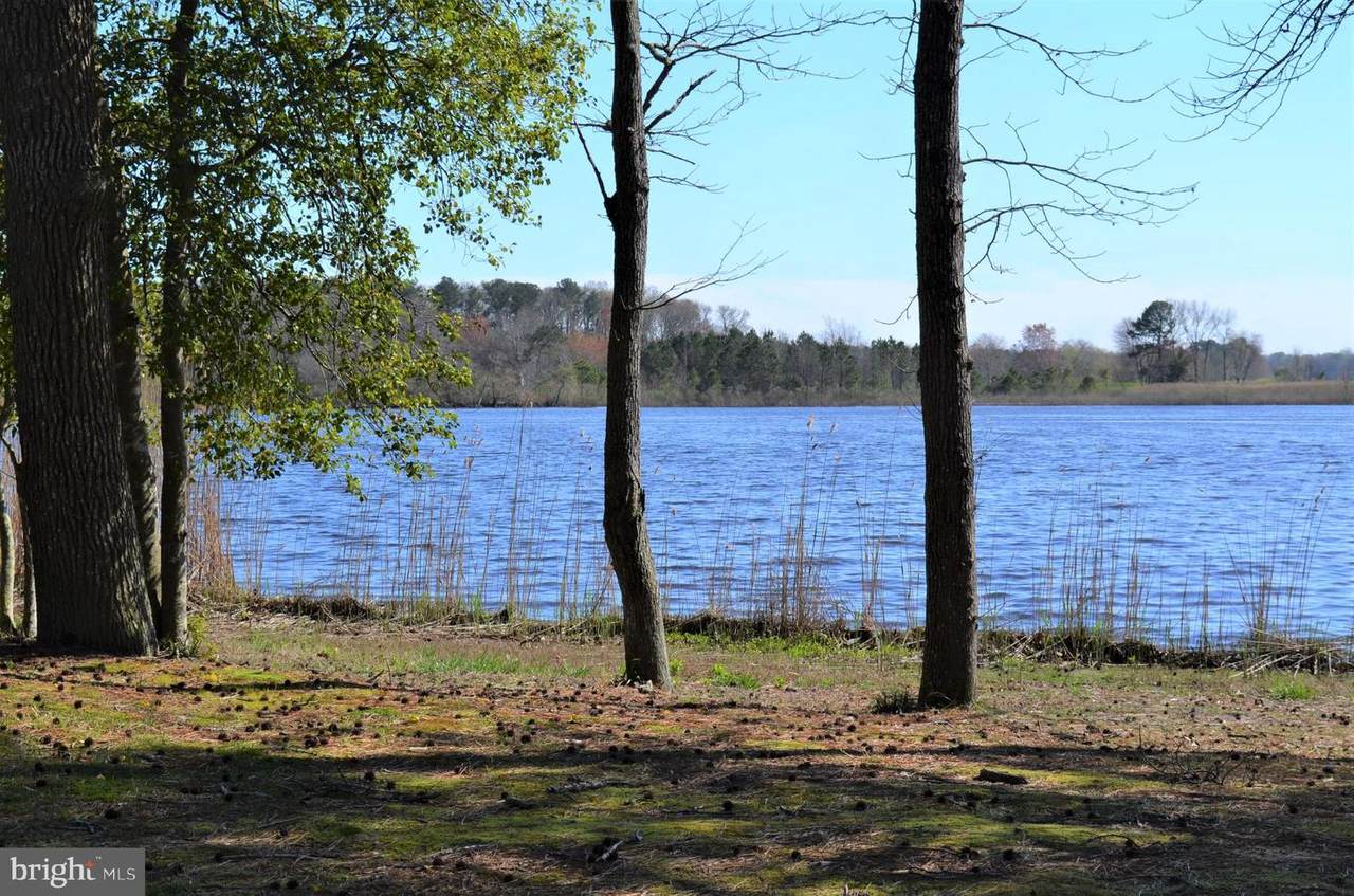 10810 Piney Island Drive - Photo 1