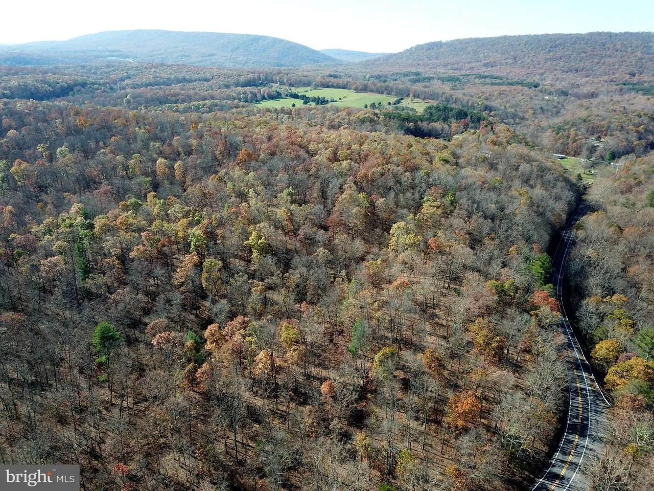 Paw Paw Rd - Photo 1