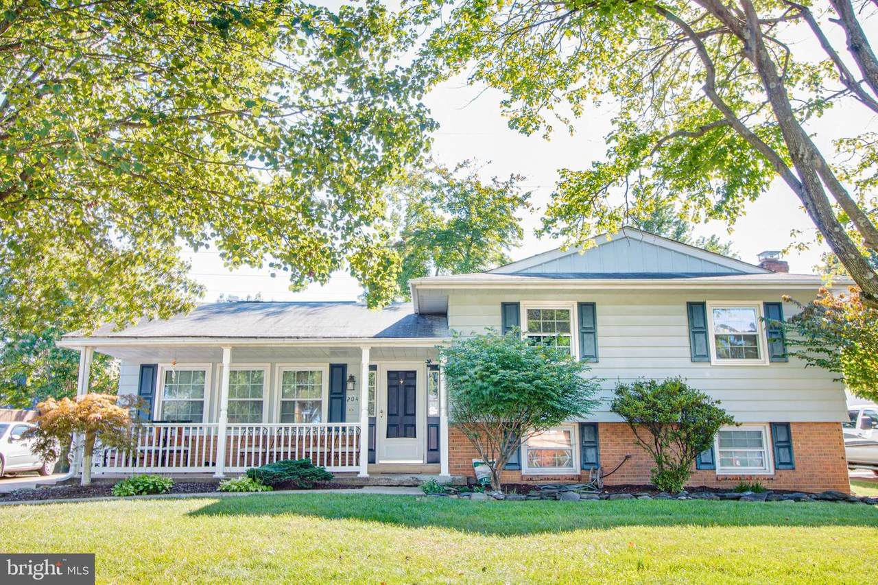 204 Williamsburg Road - Photo 1
