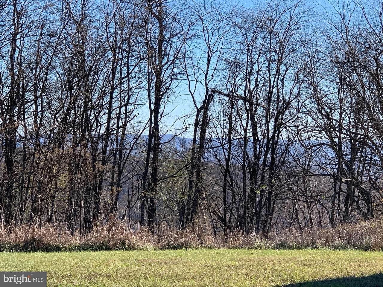 Piney Mountain Road - Photo 1
