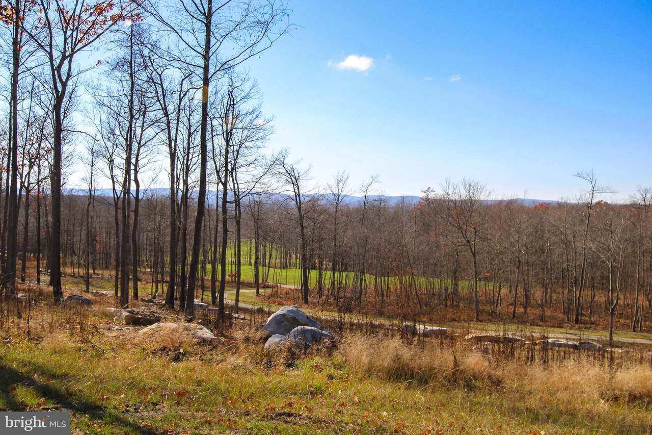 Lot 42 Biltmore Ridge Trl - Photo 1