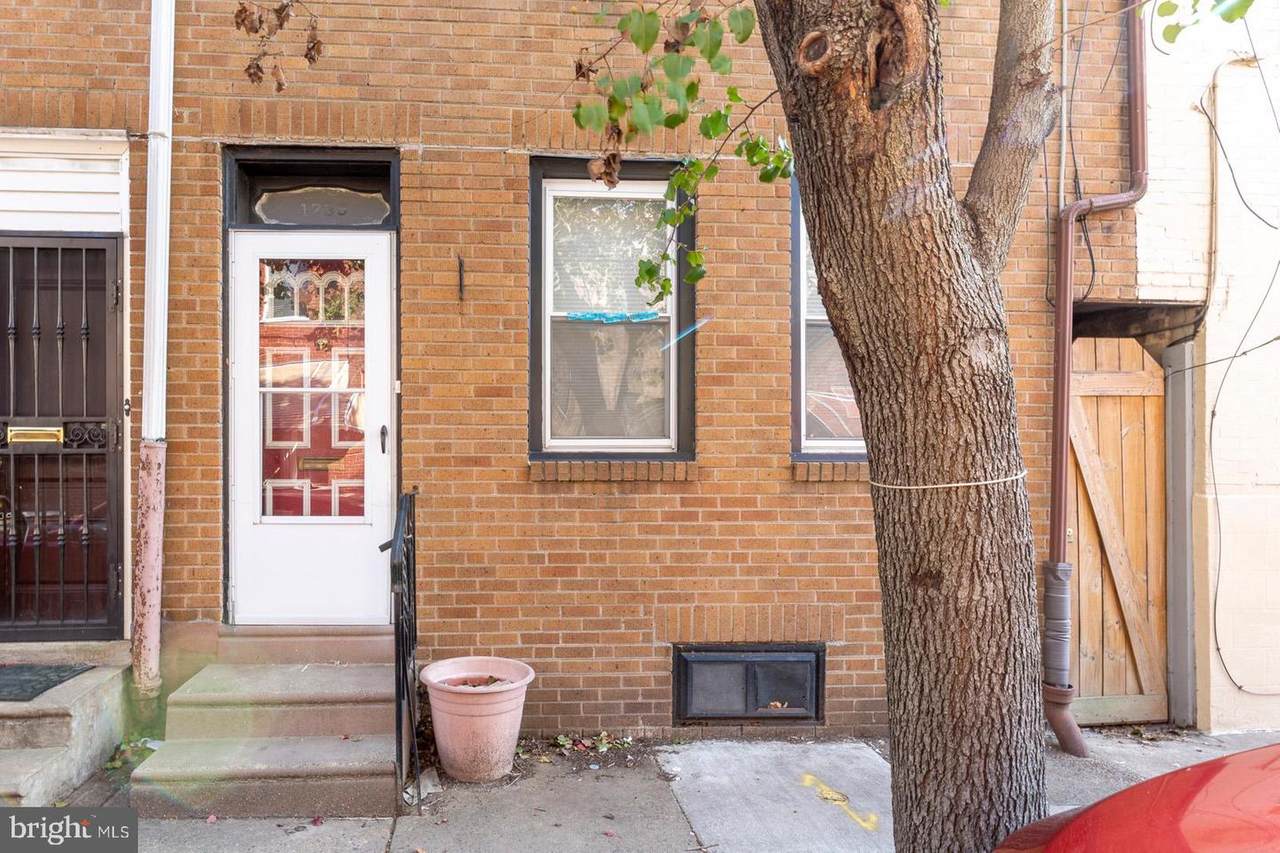1239 Alder Street - Photo 1