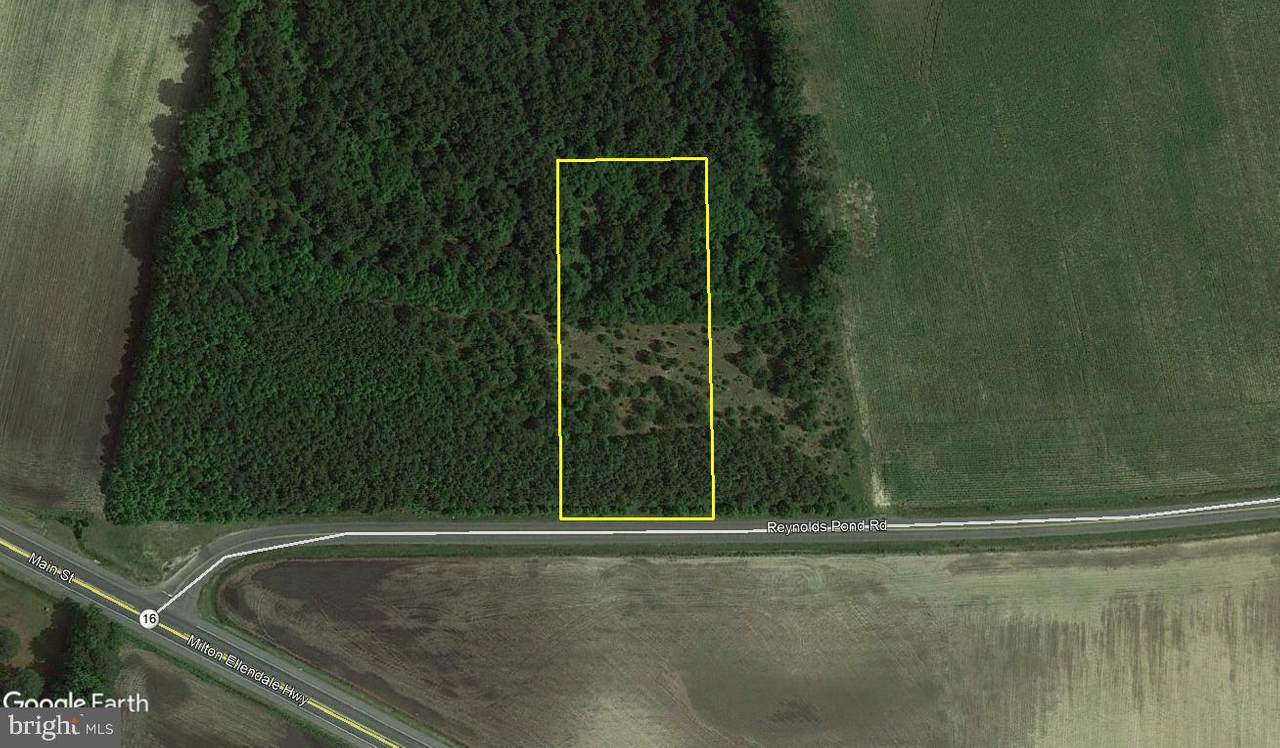 Lot 3 Reynolds Pond Road - Photo 1