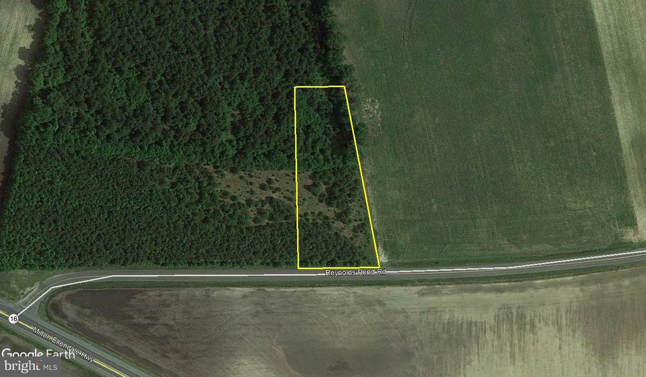 Lot 4 Reynolds Pond Road - Photo 1