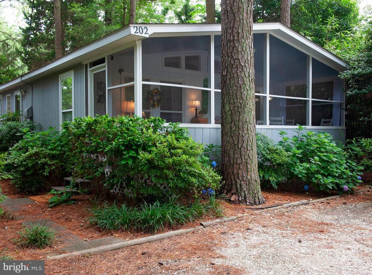 202 Jersey Street - Photo 1