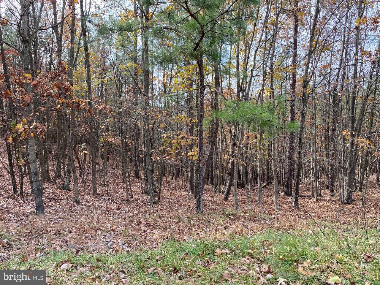 16 Woodridge Trail - Photo 1
