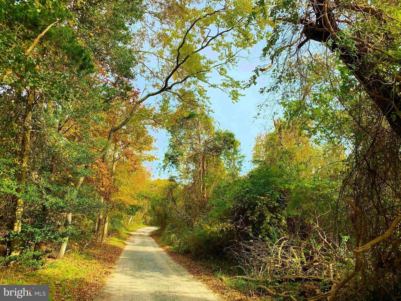 0 Scotts Landing Road - Photo 1