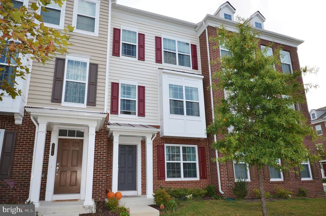 25476 Stallion Branch Terrace - Photo 1