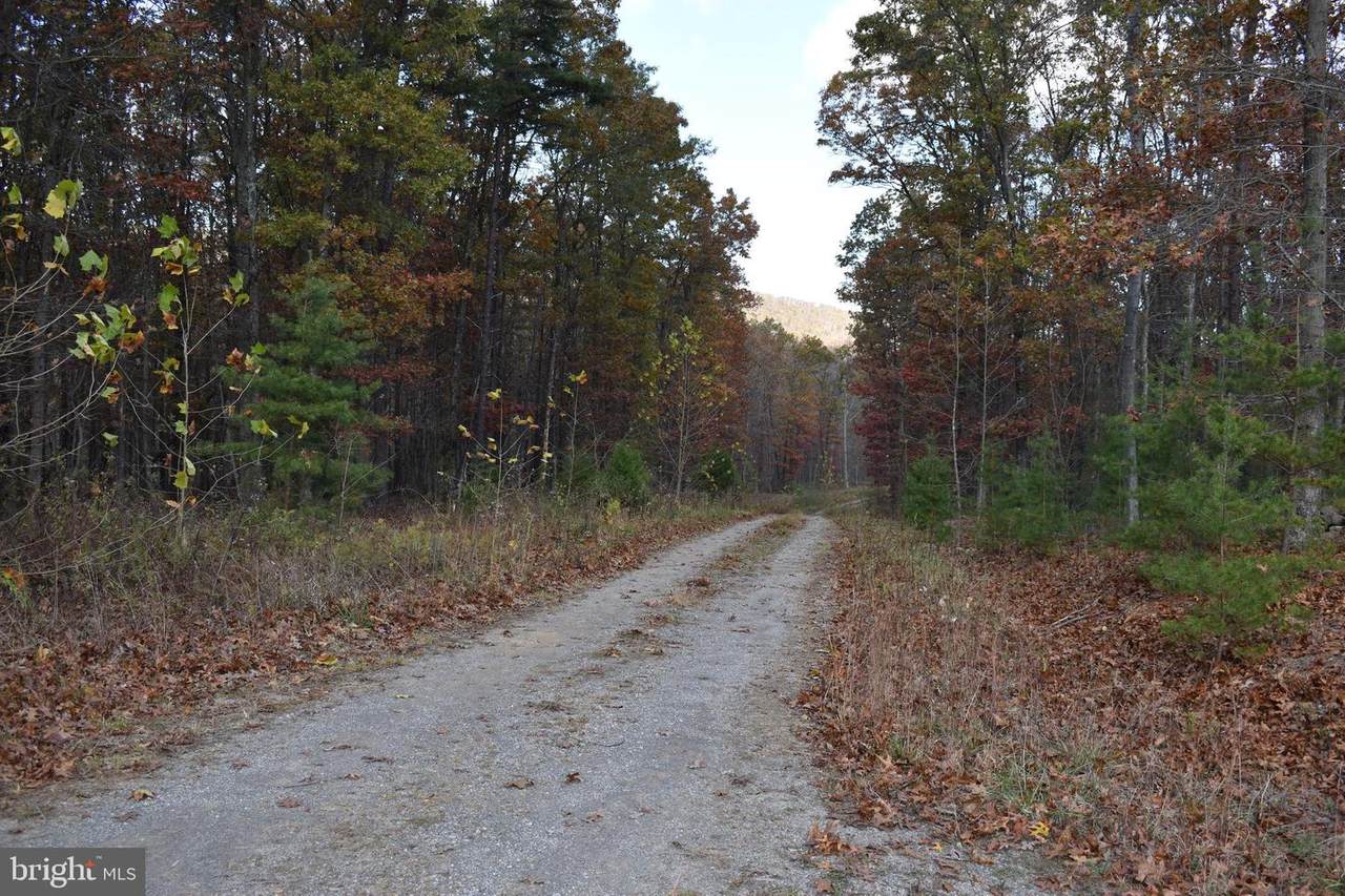 Lot 10 Cabin Run Road - Photo 1