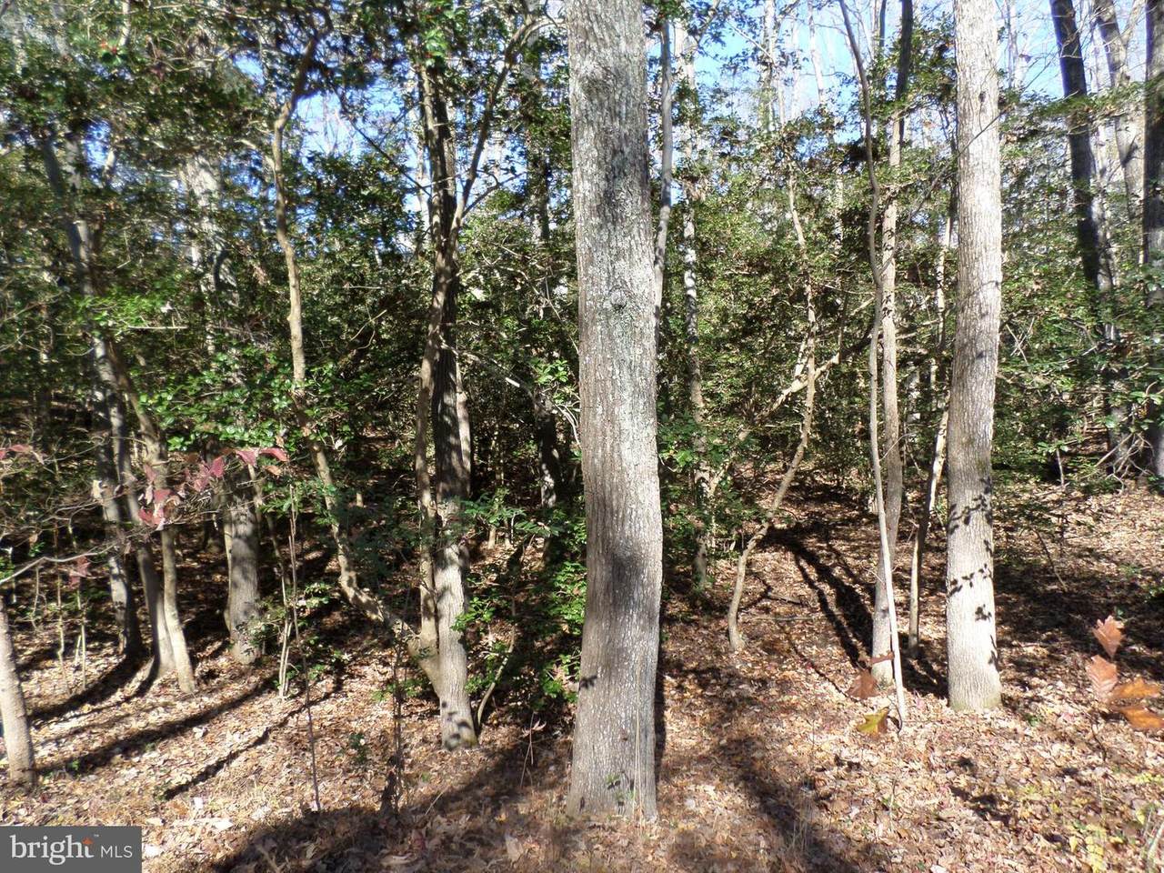 Mallard Point Rd. - Photo 1