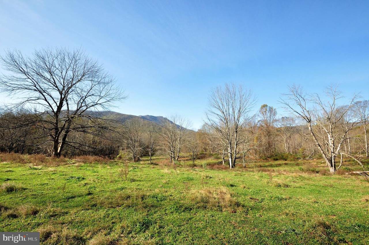 Pine Hill Road - Photo 1