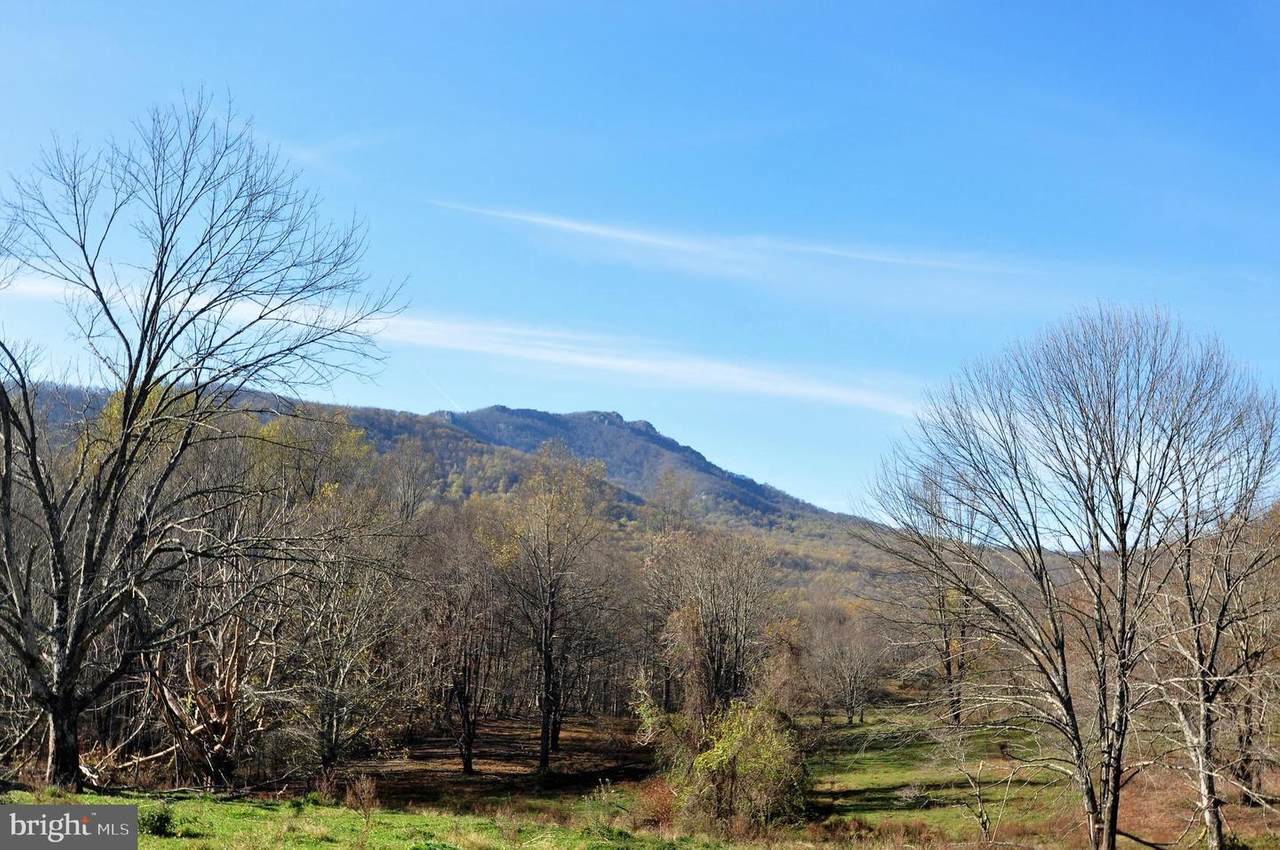 Pine Hill - Photo 1