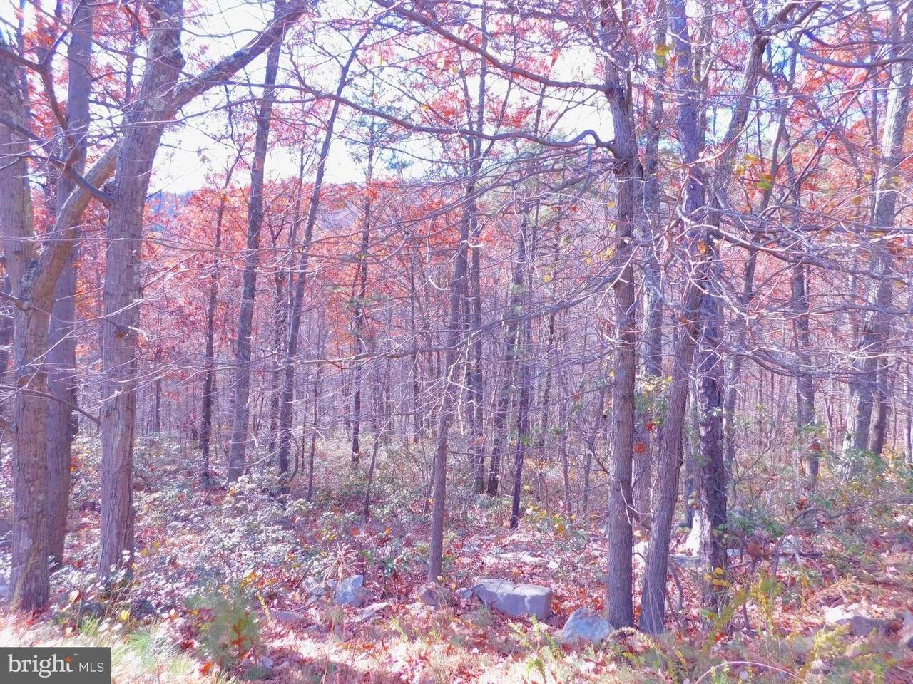 19 Moundbuilder Loop - Photo 1