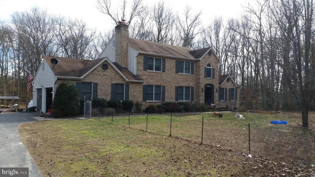 11345 Dobbins Lane - Photo 1