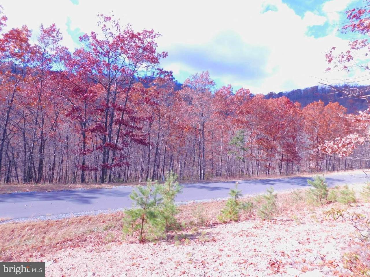 15 Moundbuilder Loop - Photo 1