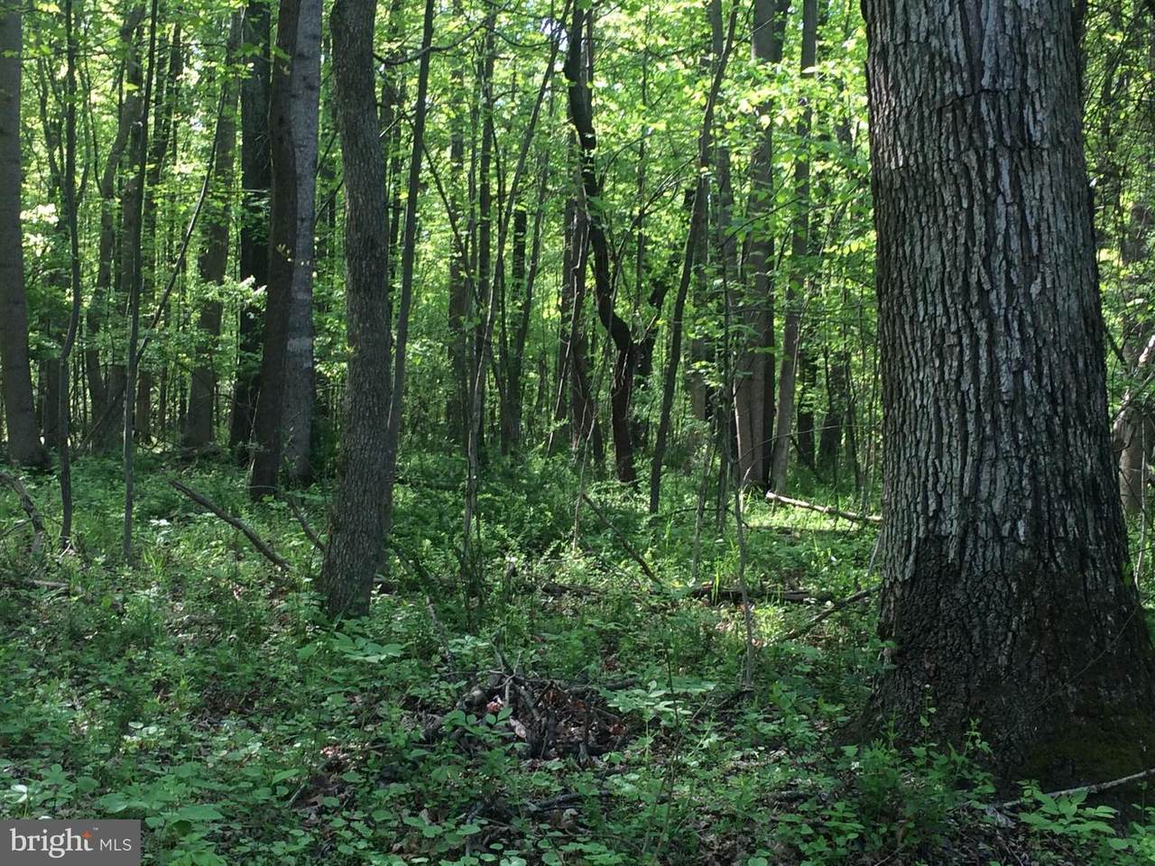 Heskett Lane - Photo 1