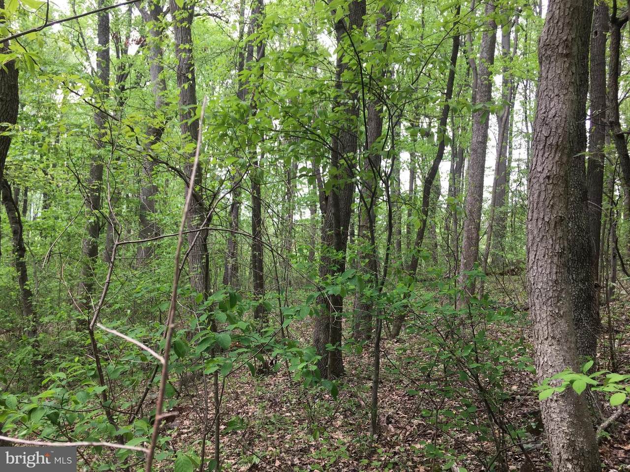 Heskett Lane - Photo 1