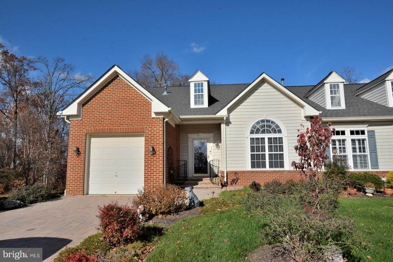 44430 Livonia Terrace - Photo 1