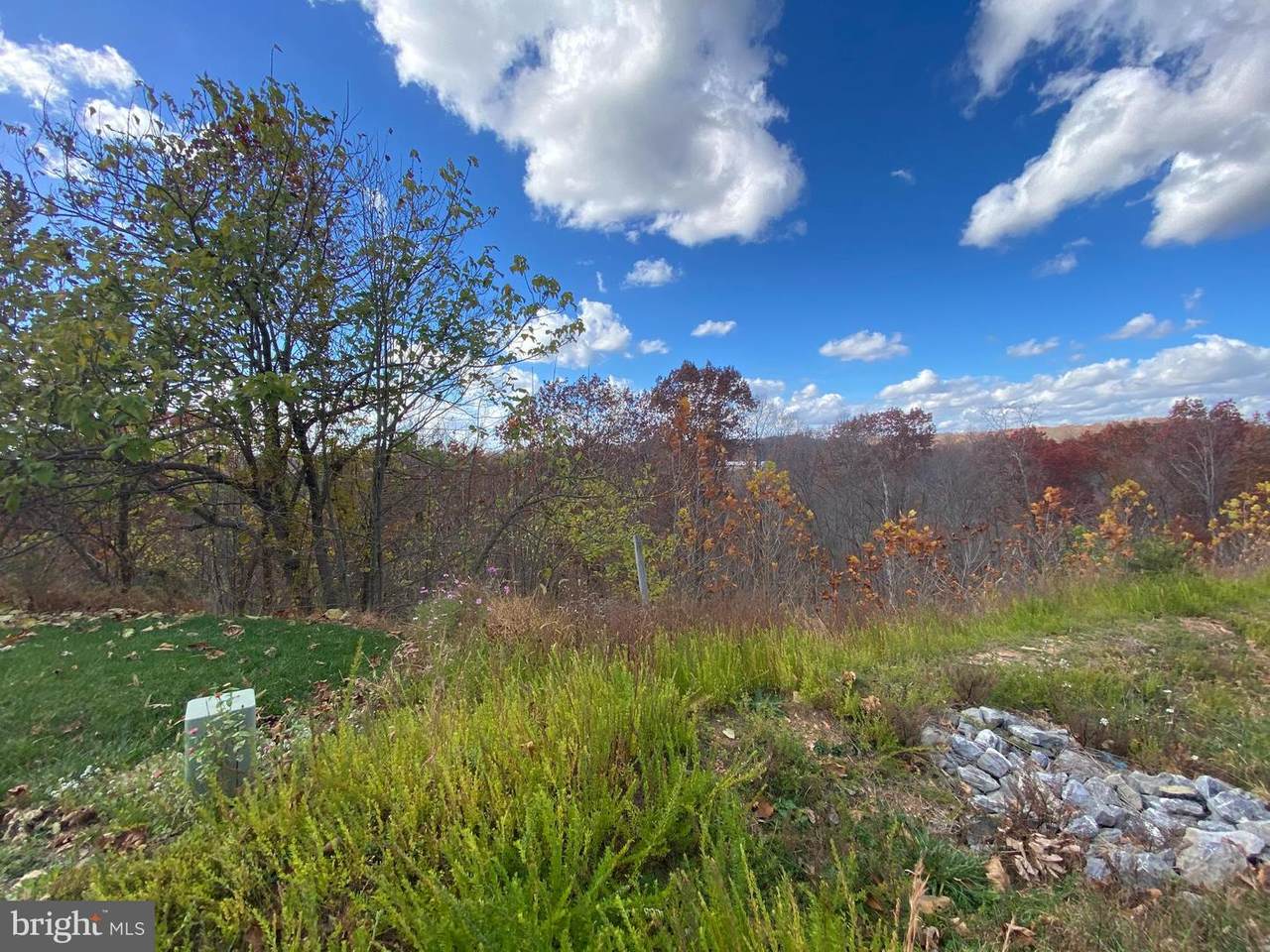 9608 Woodland Road - Photo 1