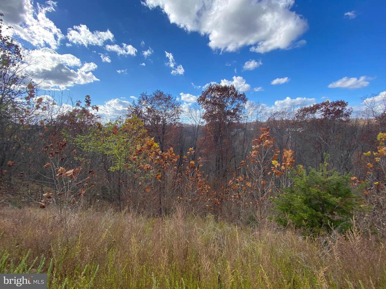 9606 Woodland Road - Photo 1
