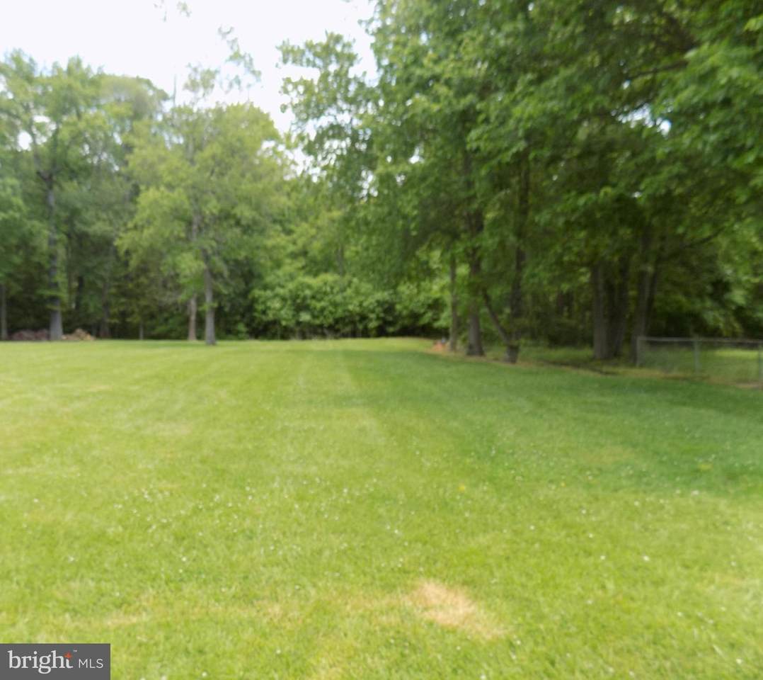 Eastern - Photo 1