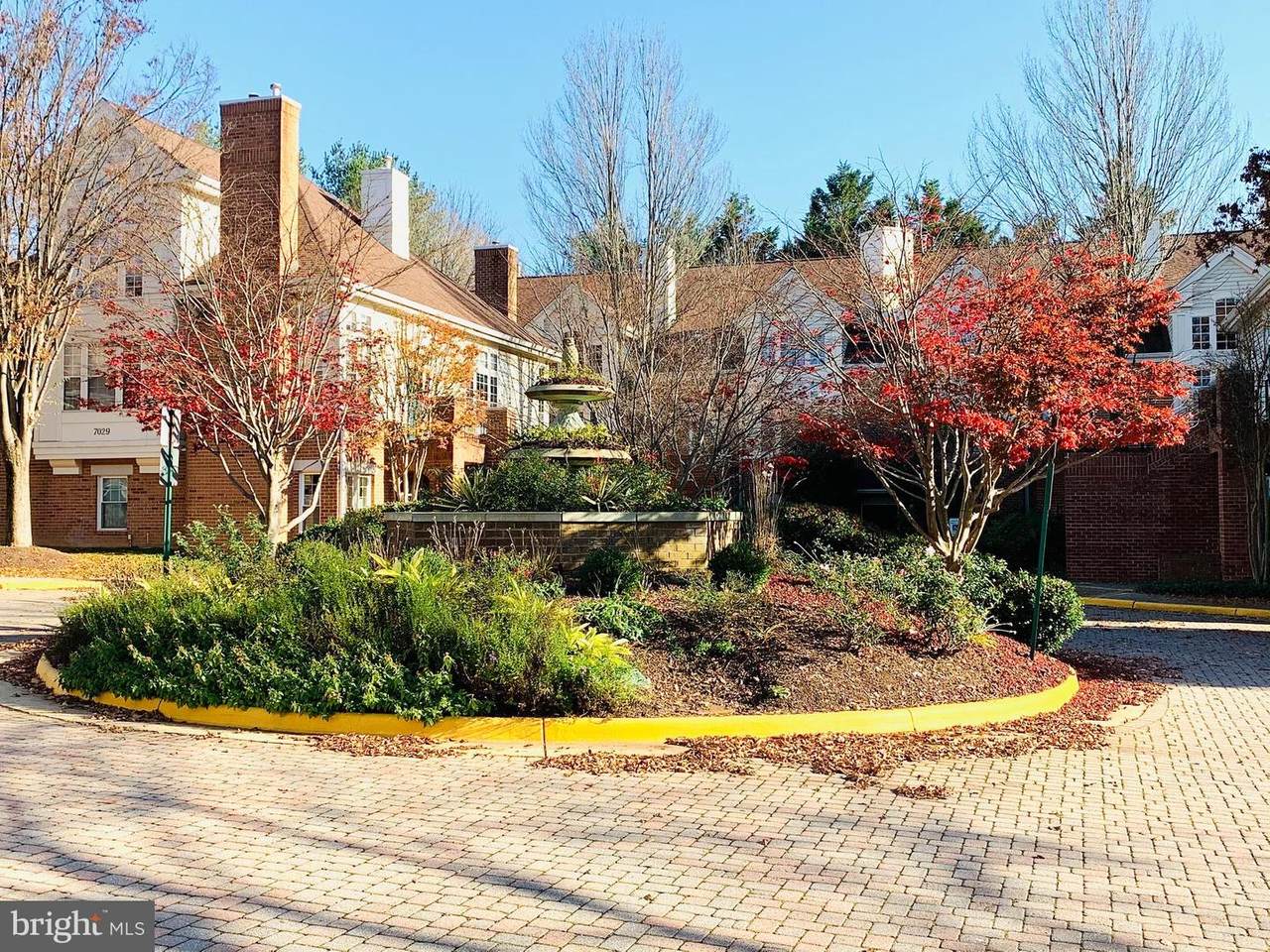 7029 Haycock Road - Photo 1