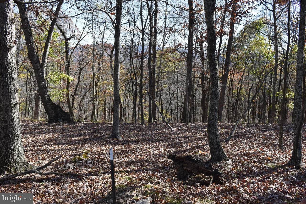 LOT 23 Cabin Run Road - Photo 1