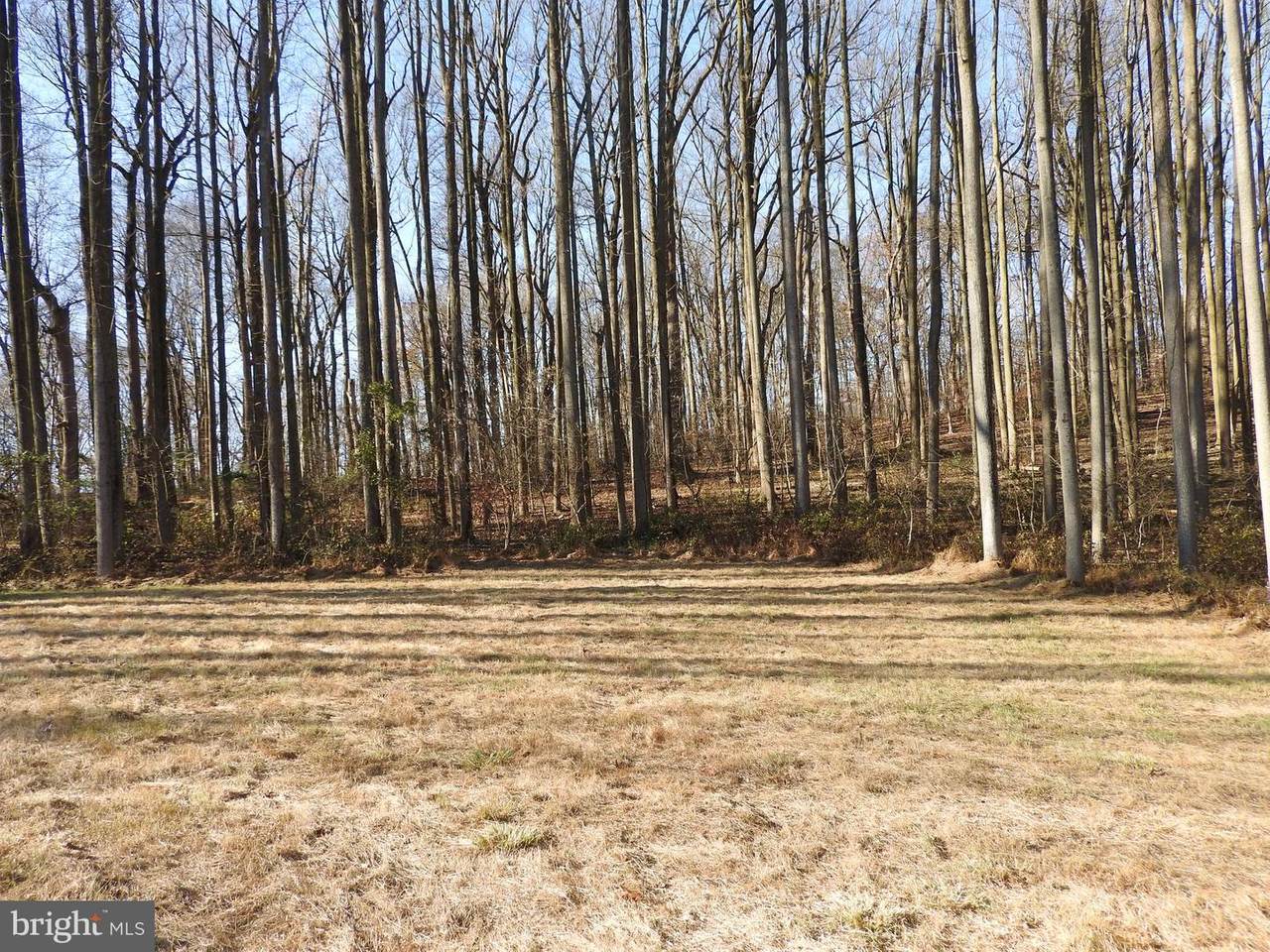 Lot # 2 Green Valley Road - Photo 1