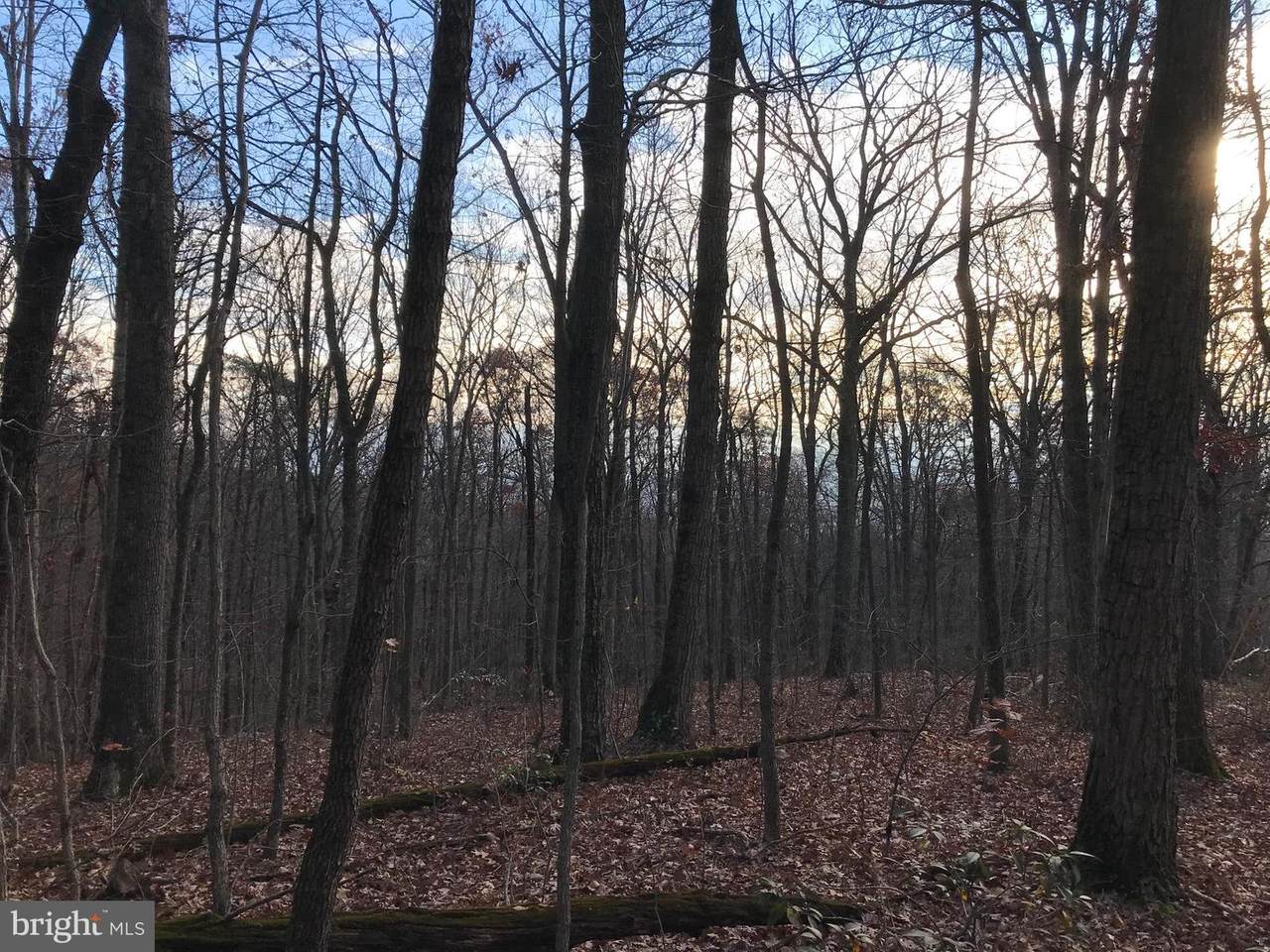 Off Cardinal Drive - Photo 1