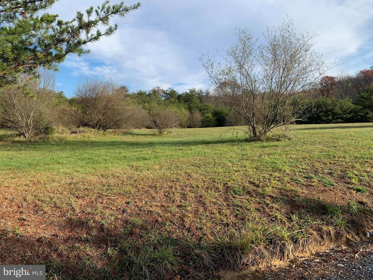 Lot # 13 Paso Fino Drive - Photo 1