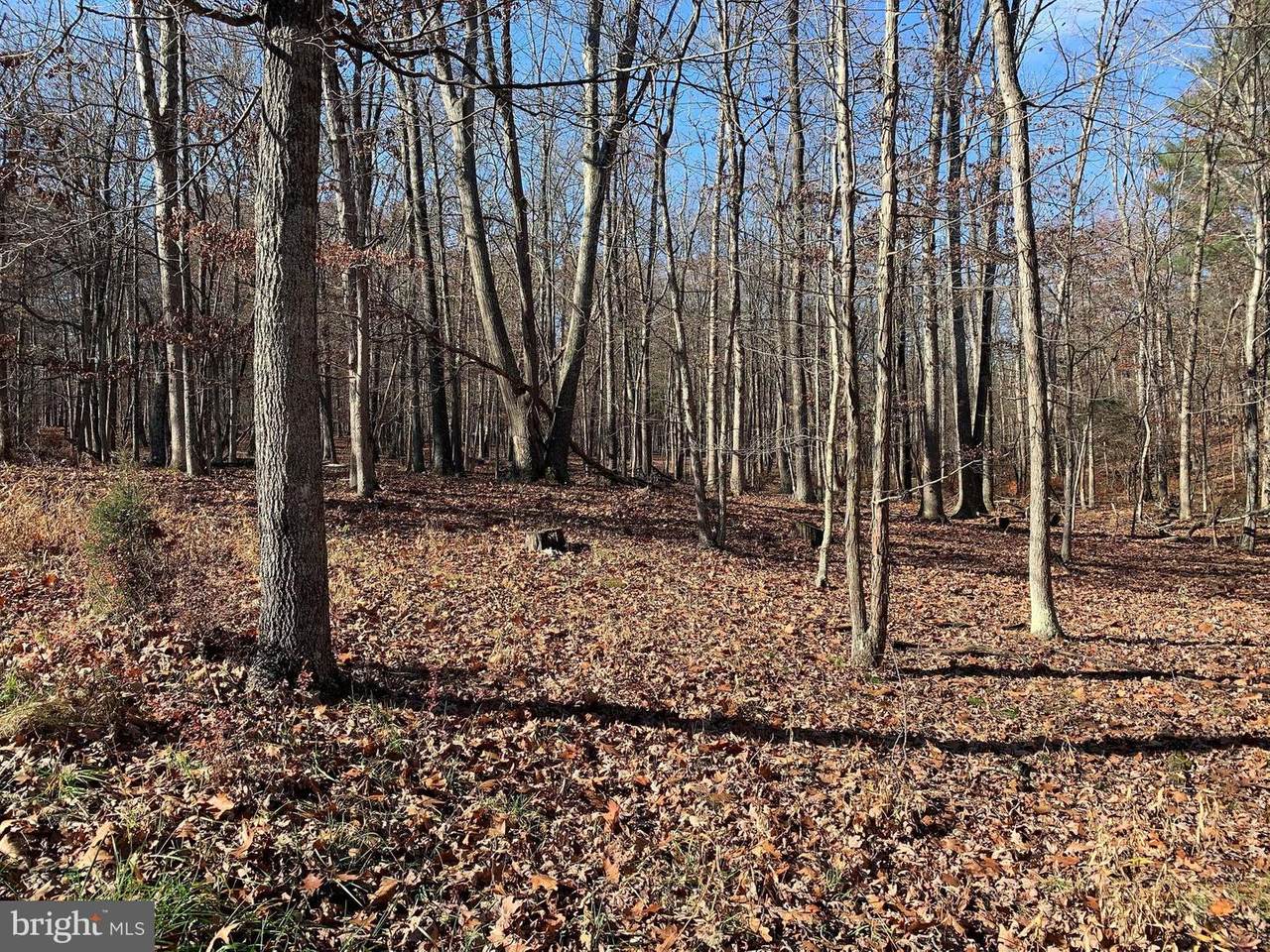 Lot #9 Coopers Run Road - Photo 1