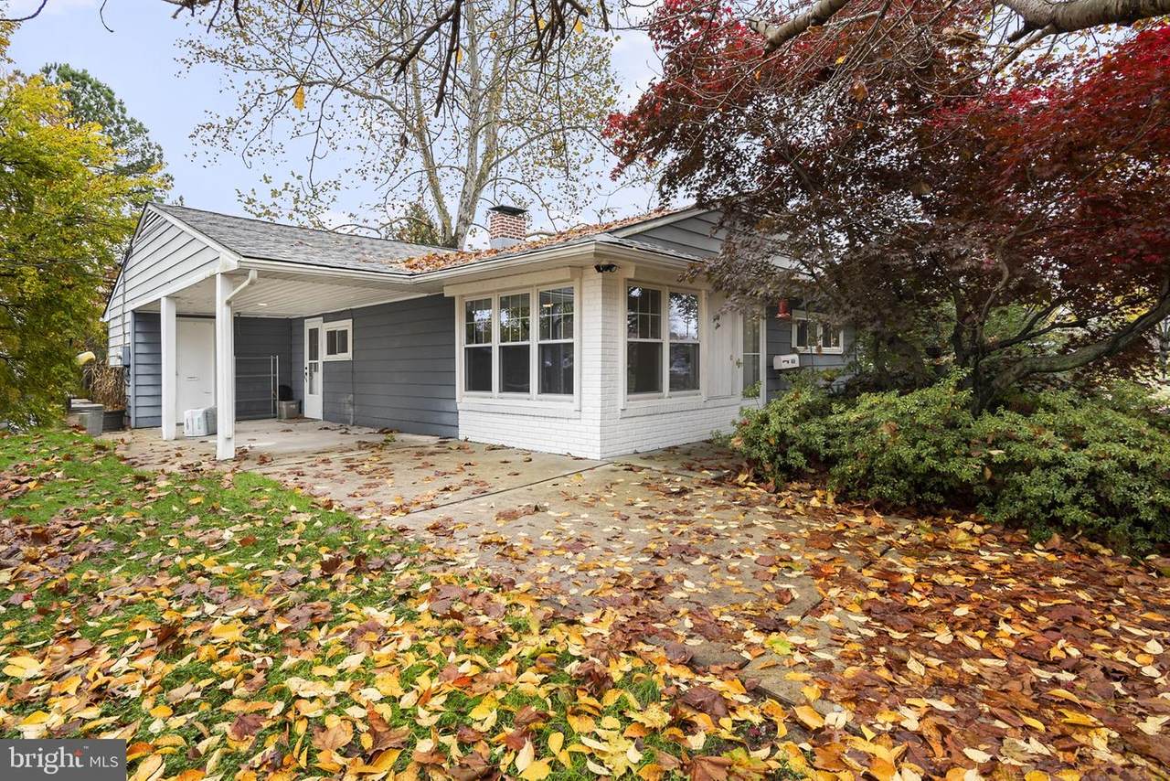 46 Meadows Lane - Photo 1