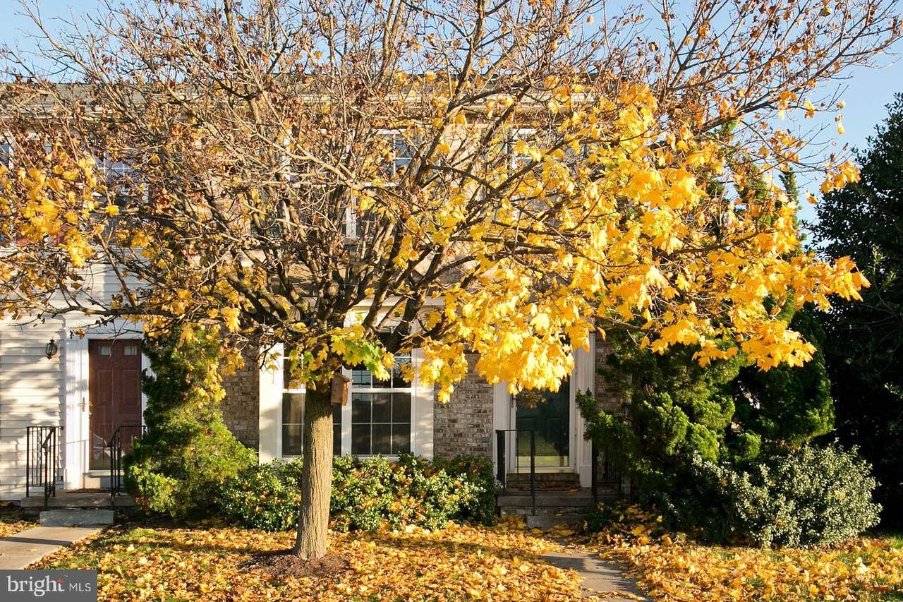 100 Barrington Lane - Photo 1