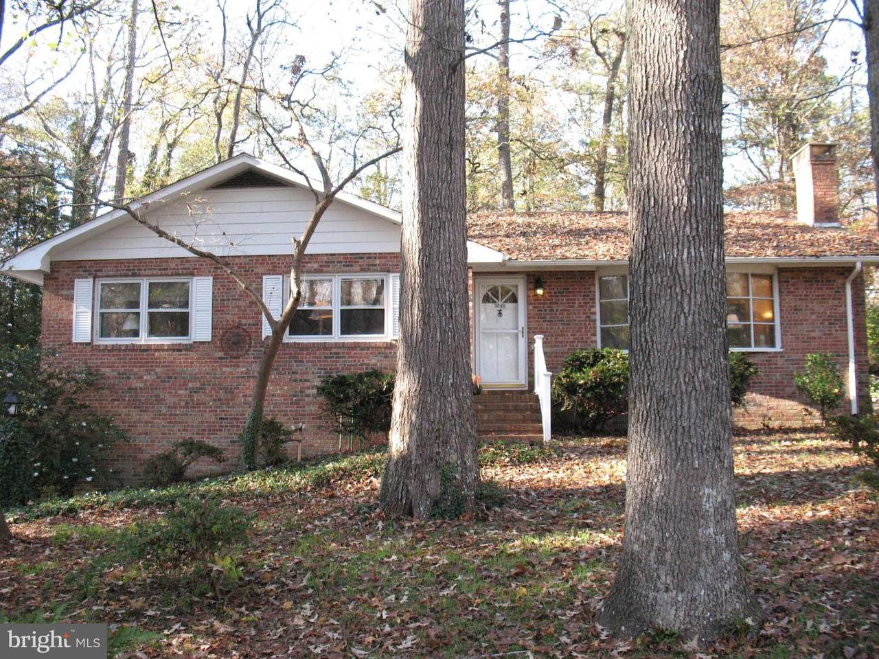 3845 Sirman Drive - Photo 1