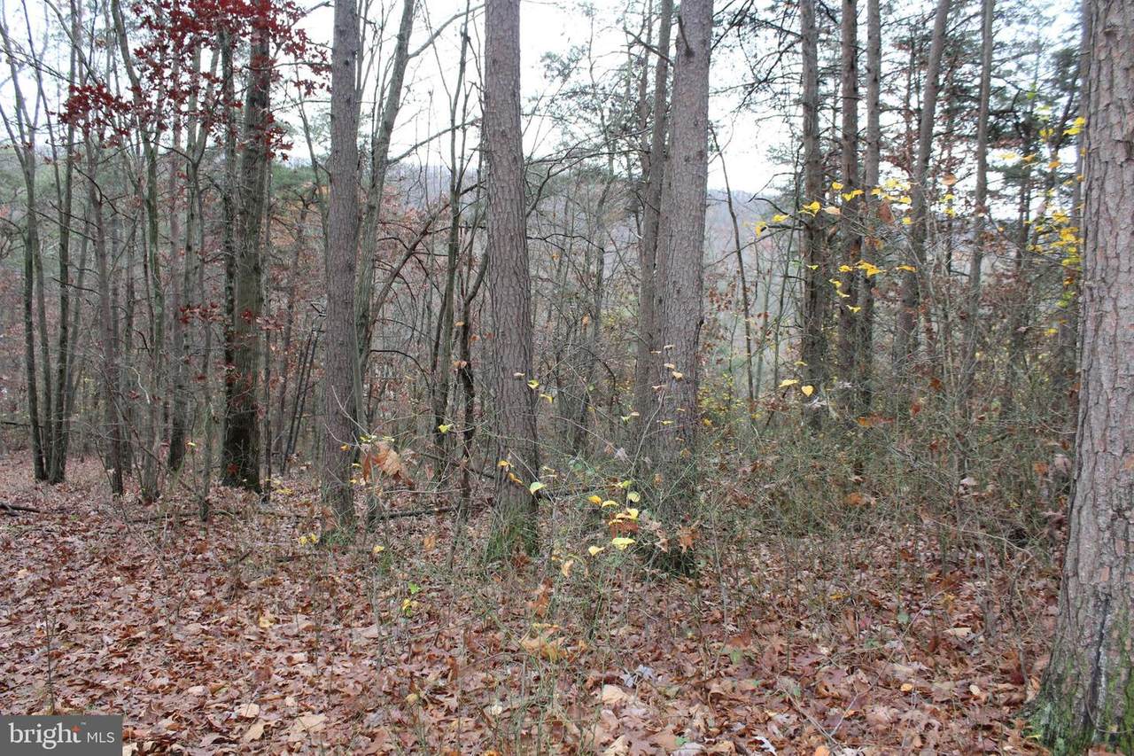 lot 3 Cody Drive - Photo 1