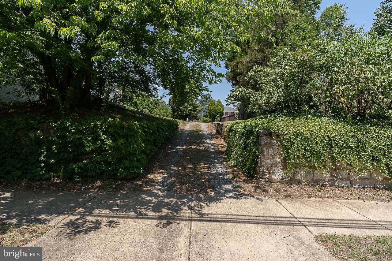 407 Charlotte Street - Photo 1