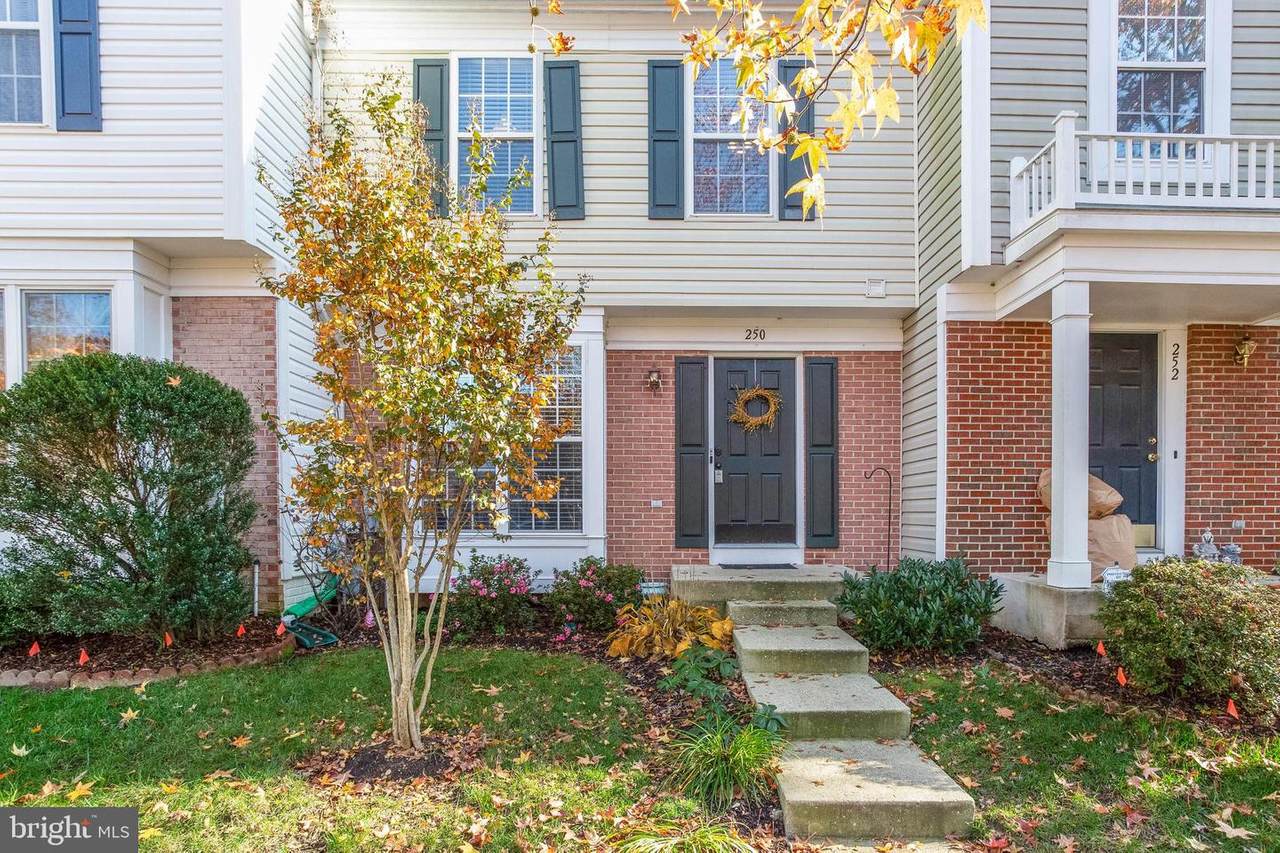 250 Night Haven Court - Photo 1
