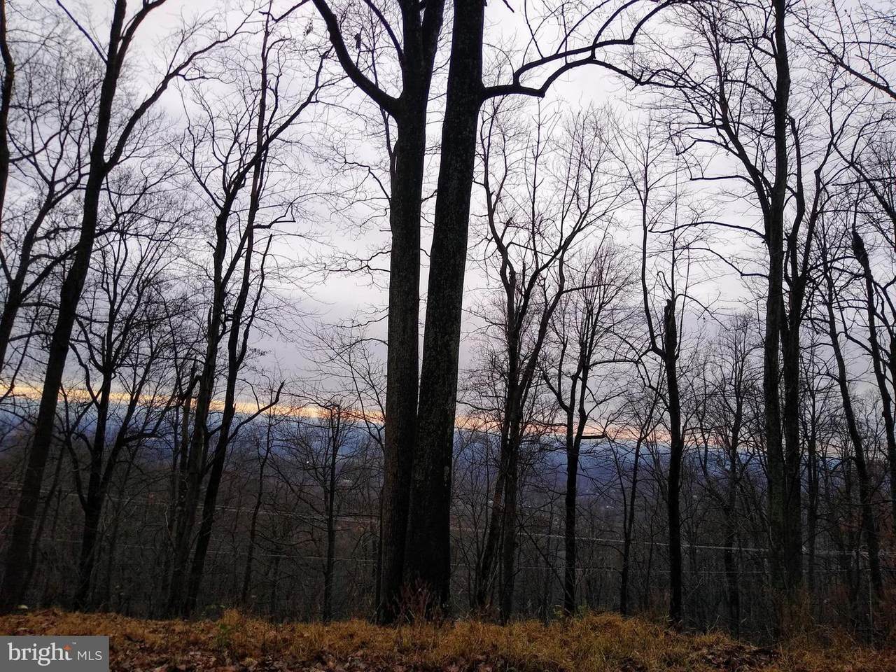 Lot 9 Deer Trail Road - Photo 1