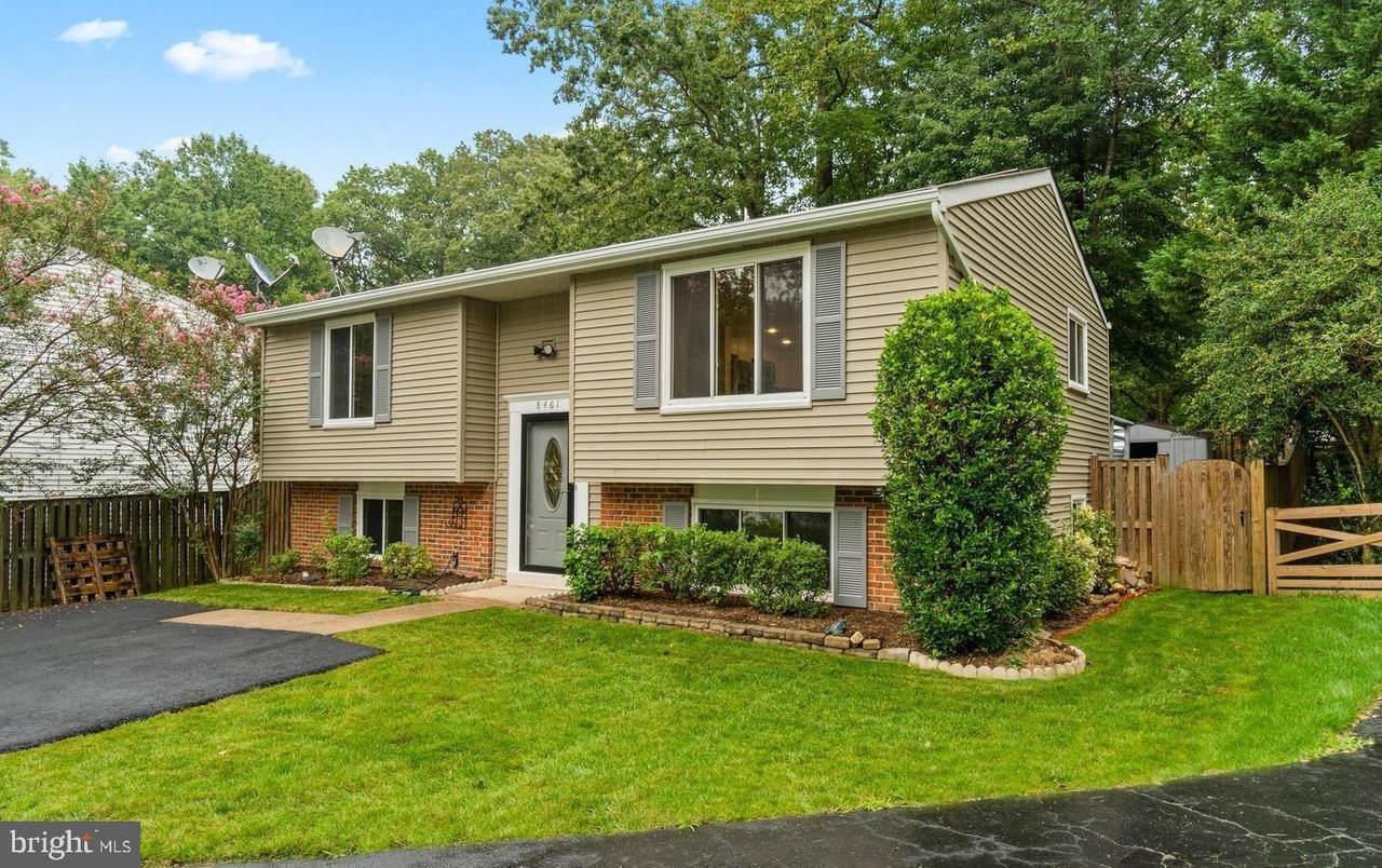 8461 Yellow Leaf Court - Photo 1