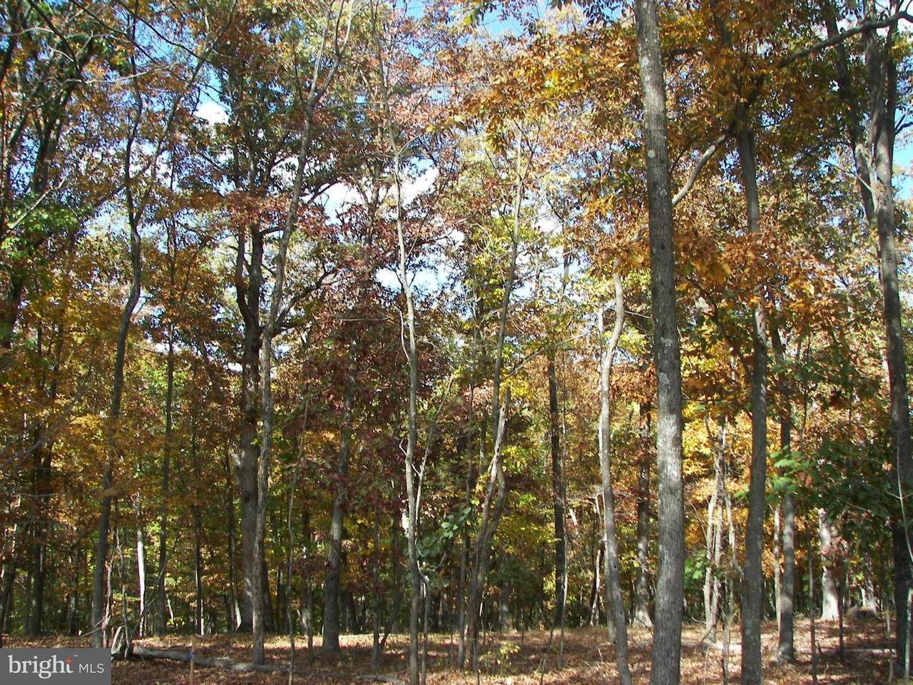 Key Pine Lane - Photo 1