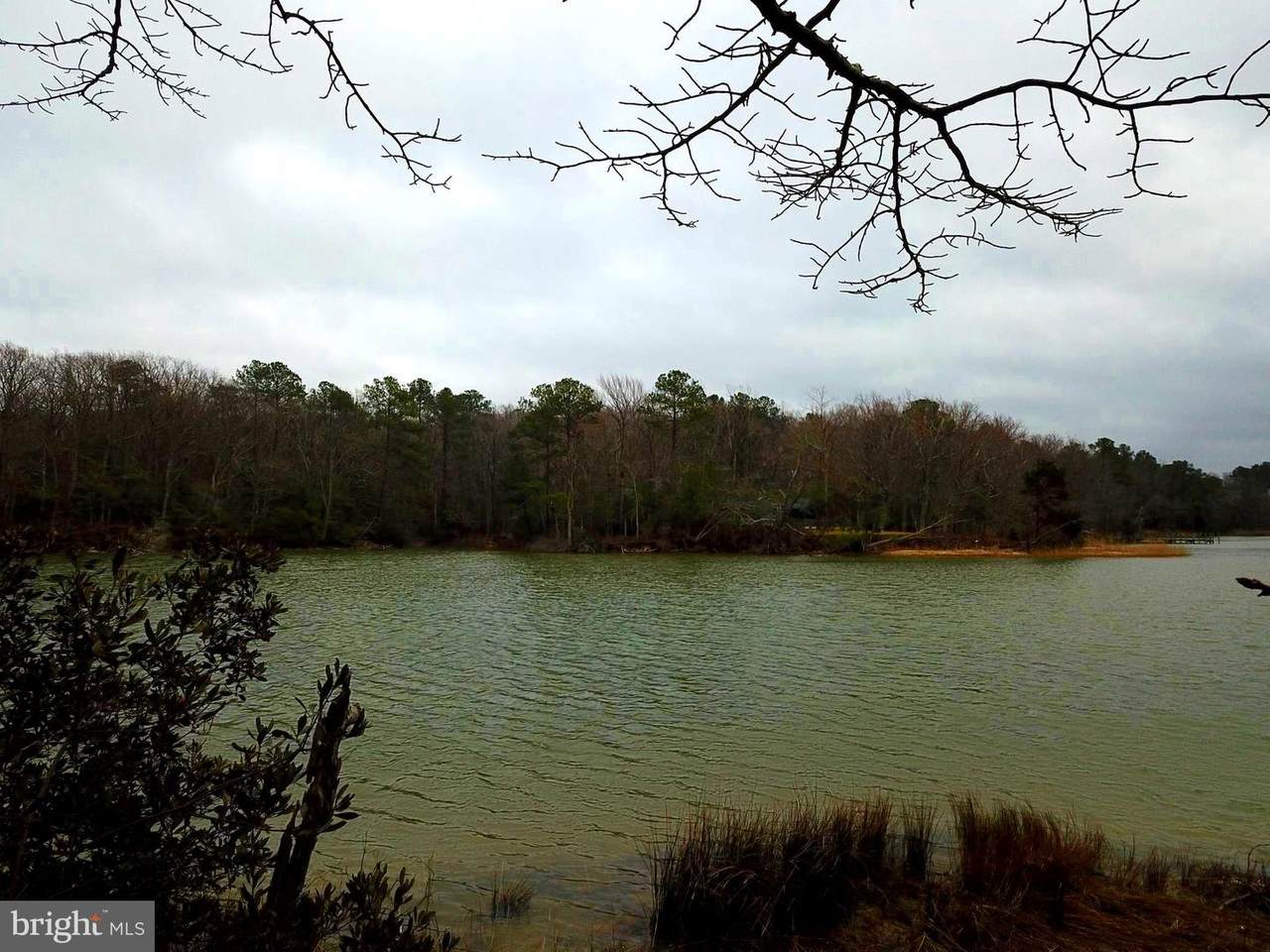 Potomac Drive - Photo 1