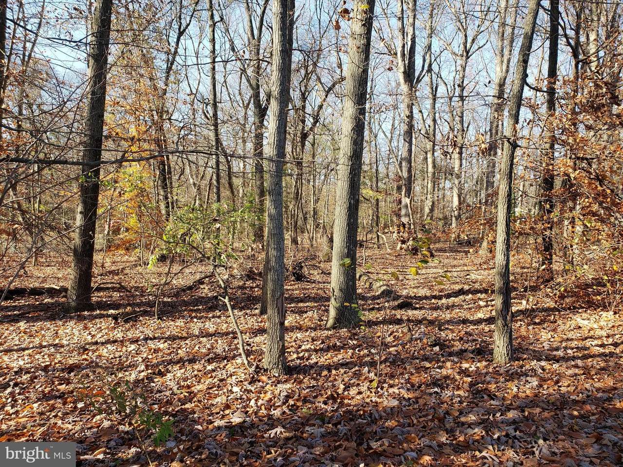 106 Fairmount Street - Photo 1