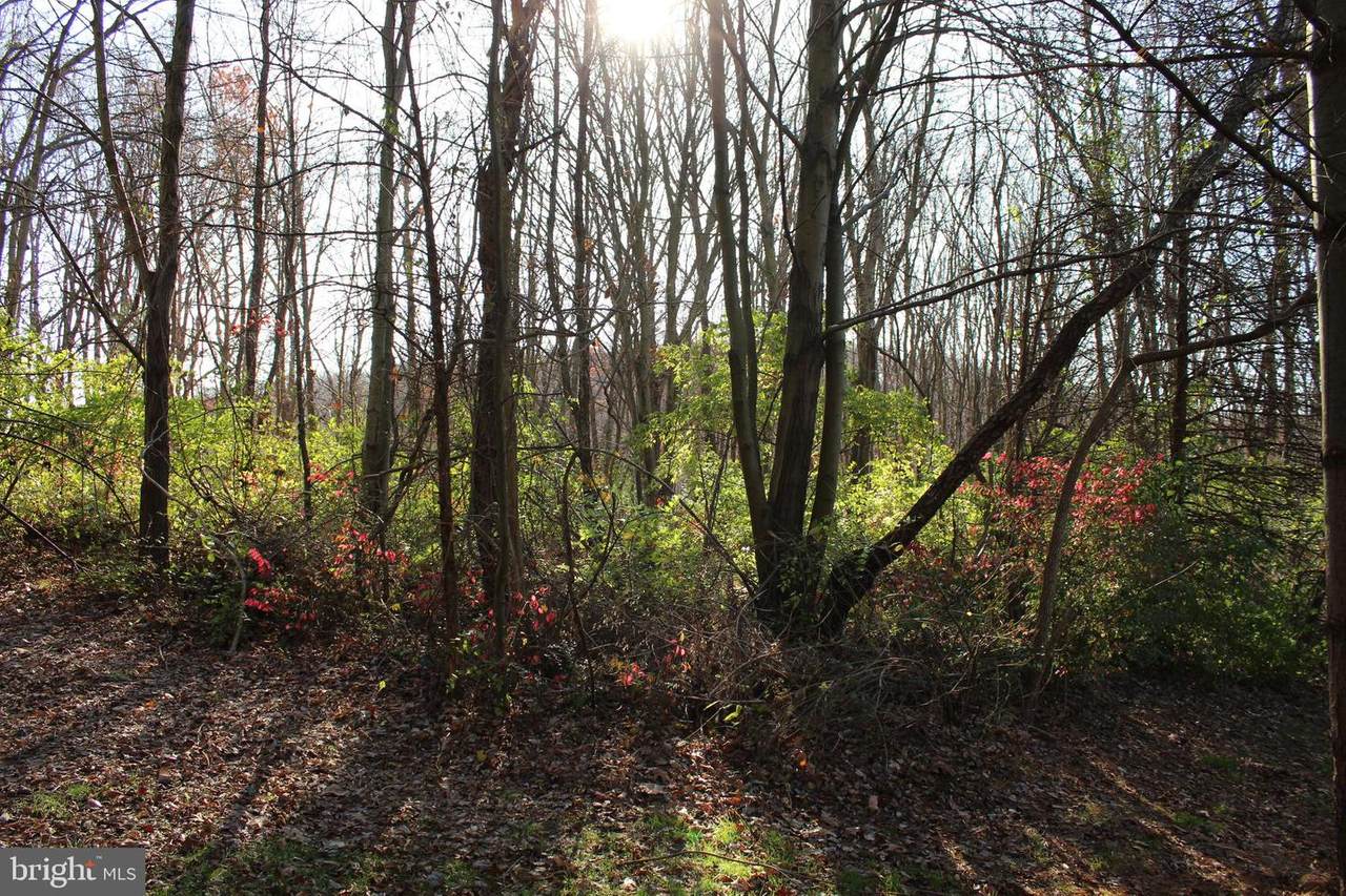 0 Robin Trail - Photo 1