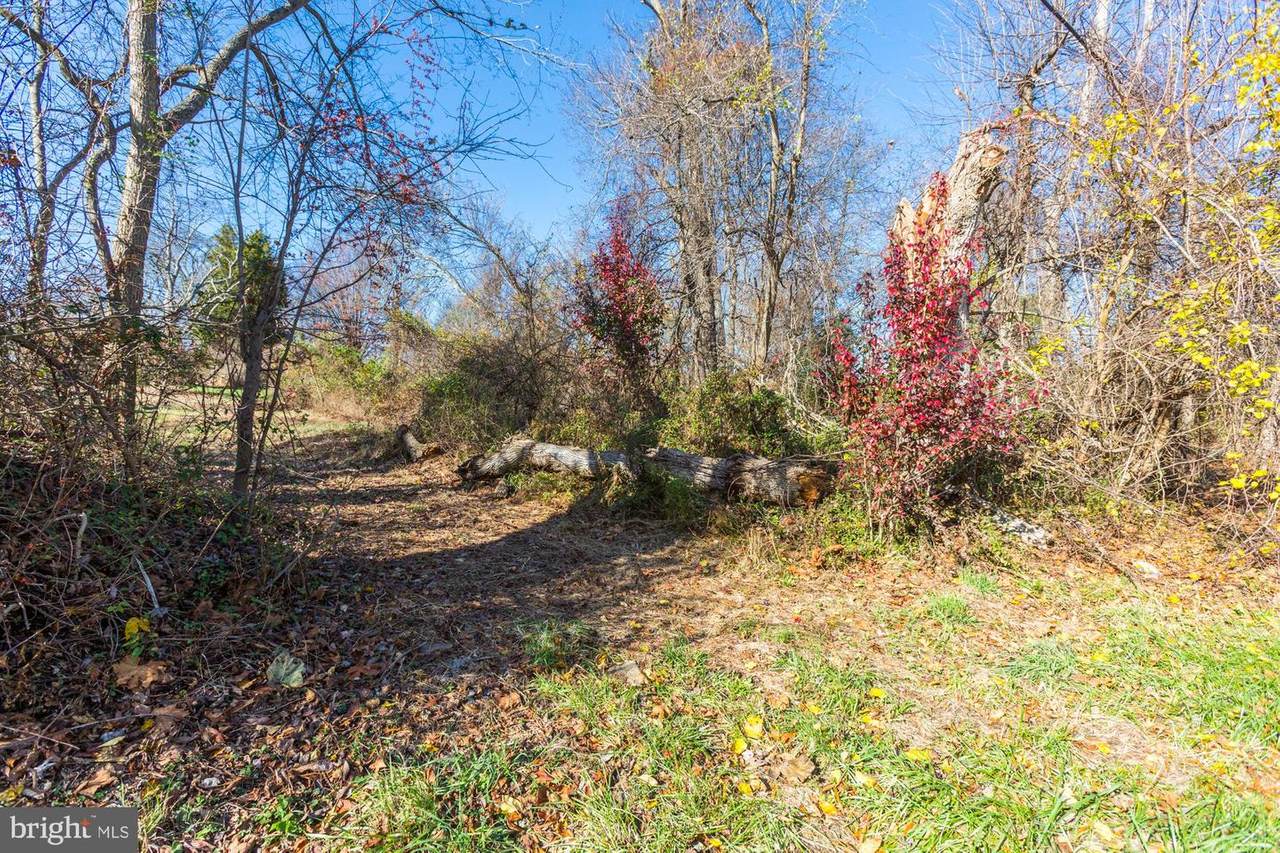 2920 Route 97 - Photo 1