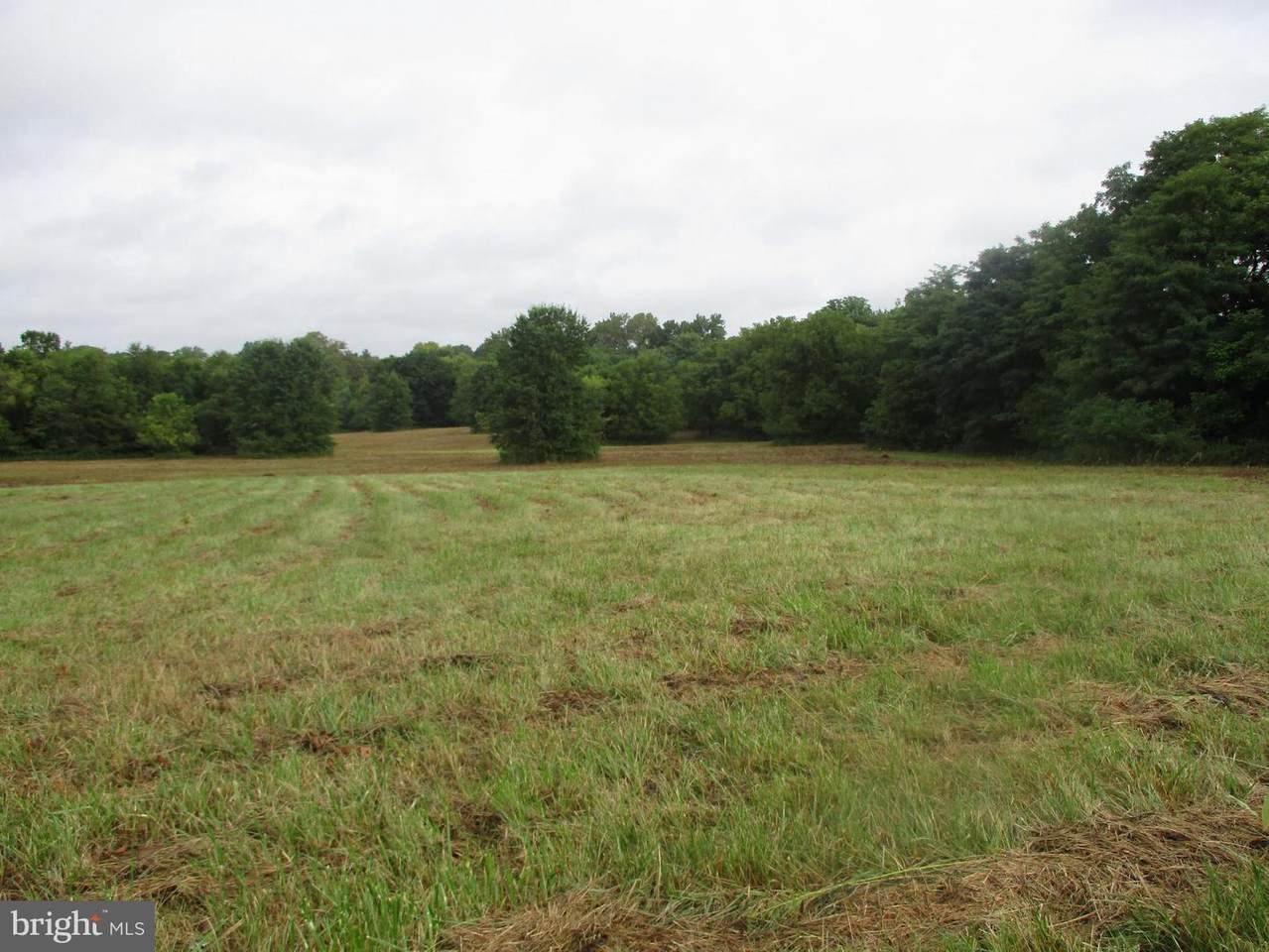 Security Road - Photo 1