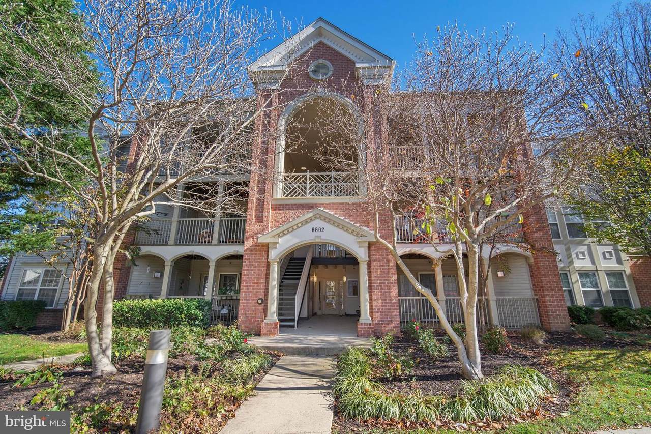 6602-D Thackwell Way - Photo 1