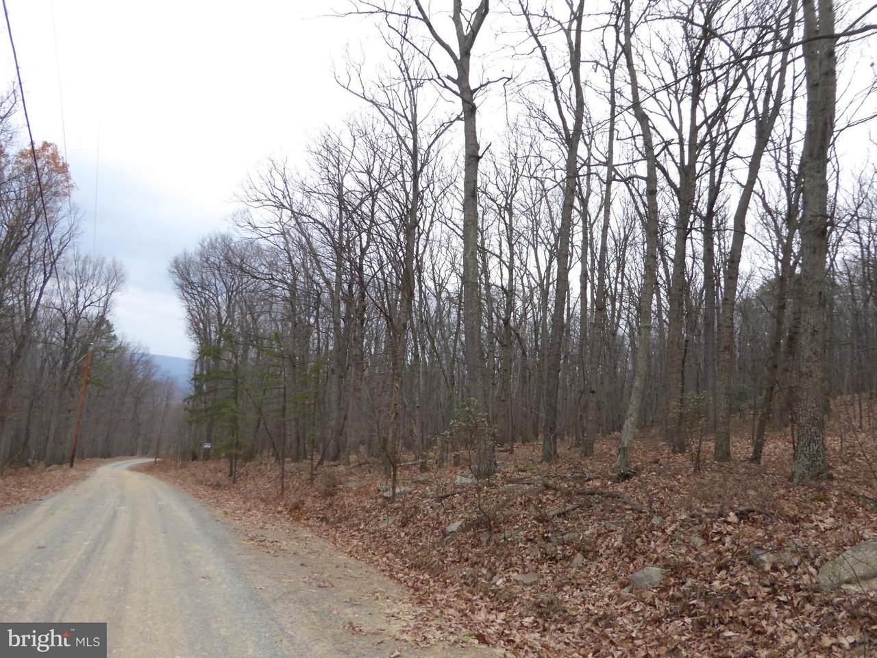 B17 & B18 Mountain Lion Lane - Photo 1